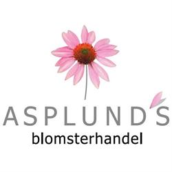 Asplunds Blomsterhandel, Enköping öppettider