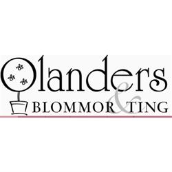 Olanders Blommor & Ting Eftr. AB, Hyltebruk öppettider