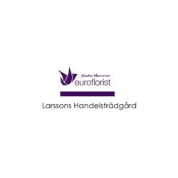 Larssons Handelsträdgård, Trelleborg öppettider