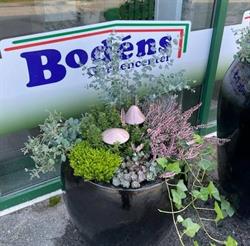 Bodéns Handelsträdgård & Gardencenter, Sollefteå öppettider
