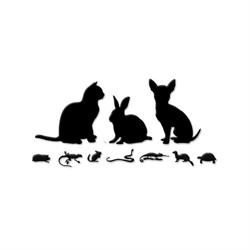 Djurdoktorn, Uppsala öppettider