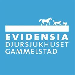 Djursjukhuset I Gammelstad AB, öppettider
