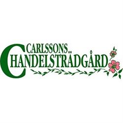 Carlssons Handelsträdgård, Ed öppettider