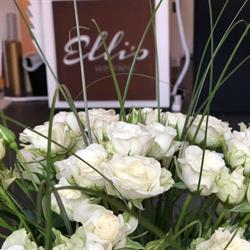 Elli's Wellness Ab, Lund öppettider