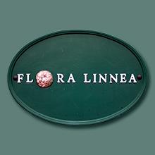 Flora Linnea AB, Helsingborg öppettider