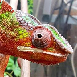 Göteborgs Zoologiska, öppettider