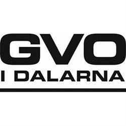Gvo I Dalarna, AB, Borlänge öppettider