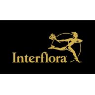 Gullvivan - Interflora, Örebro öppettider
