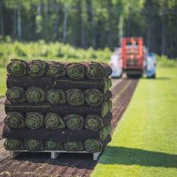 Mälarturf Gräsmatteodling, Nykvarn öppettider