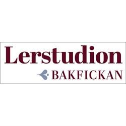 Lerstudion Bakfickan - Dalarna, Hedemora öppettider
