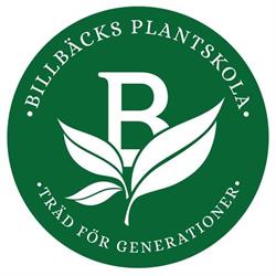 BILLBÄCKS PLANTSKOLA AB, Svärtinge öppettider
