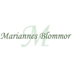 Mariannes Blommor, Bua öppettider