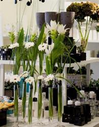 Flower Deluxe i Sverige AB, Halmstad öppettider