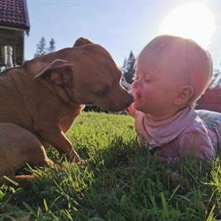 Monicas Hundtrim AB, Orsa öppettider