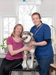 VETERINÄR HELENA THERUS AB, Lindesberg öppettider