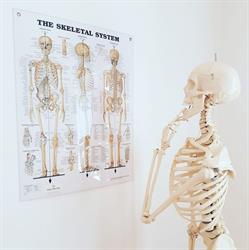 Ängelholms Naprapatklinik, öppettider