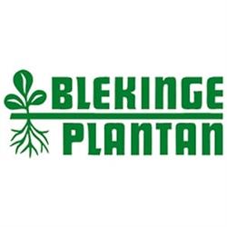 Blekingeplantan, Nättraby öppettider