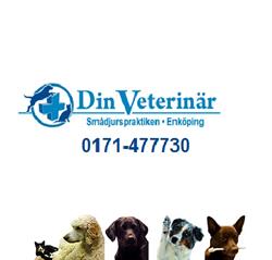 DIN VETERINÄR SMÅDJURSPRAKTIKEN I ENKÖPING AB, Enköping öppettider