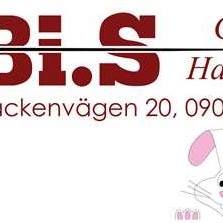 Bi.s Garn & Handarbete, Umeå öppettider