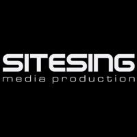 Sitesing Interactive AB, Västerås öppettider