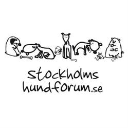 Stockholms Hundforum, öppettider