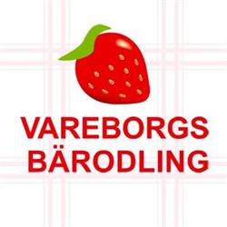 Vareborgs Bärodling AB, Varberg öppettider