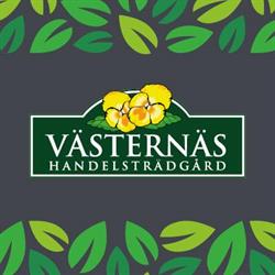 Västernäs Handelsträdgård AB, Höör öppettider
