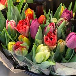 Gärdets Blomsterhandel, Bollnäs öppettider