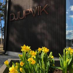Djupvik Resort Hb, Klintehamn öppettider