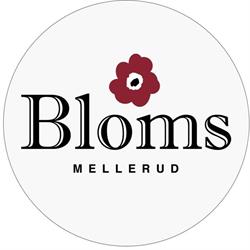 Bloms, Mellerud öppettider