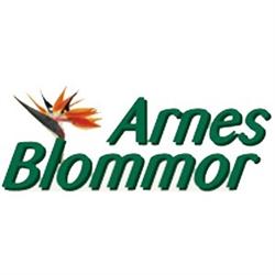Arnes Blommor, Påarp öppettider