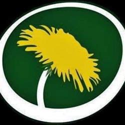 Miljöpartiet, Piteå öppettider