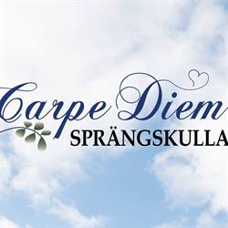 Carpe Diem i Veddige - öppettider