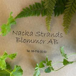 Nacka Strands Blommor, öppettider