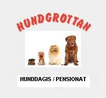 Nya Hundgrottan AB, Stockholm öppettider