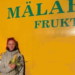 Mälardalens Frukt & Grönt i Västerås AB, öppettider