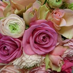 Blomsterdesign, Lund öppettider