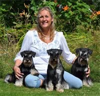 Chottans Hundtrim, Växjö öppettider