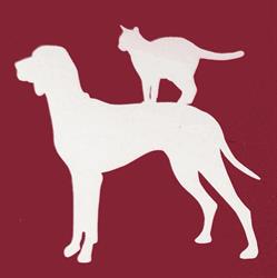 Hornstulls Hund & Katt AB, Stockholm öppettider