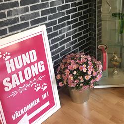 Älmsta Hundsalong, Väddö öppettider