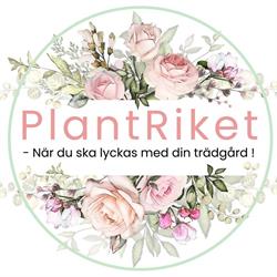 PlantRiket, Johannishus öppettider