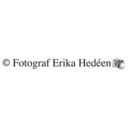 Erika Hedéen, Fotograf Hekon AB, Ludvika öppettider