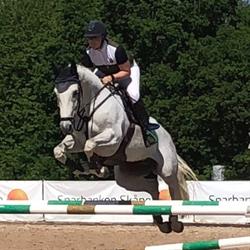 Lundegård Equestrian AB, Vellinge öppettider