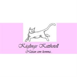 Käglinge Katthotell, Oxie öppettider