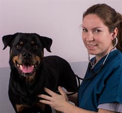Gnesta Veterinärpraktik AB, öppettider