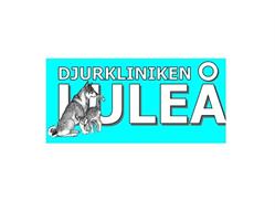 Djurkliniken i Luleå, öppettider