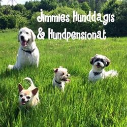 Jimmies Hunddagis & Hundpensionat AB, Floda öppettider