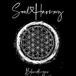 Studio Soulharmony AB, Malmö öppettider