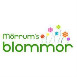 Mörrum's Blommor, öppettider