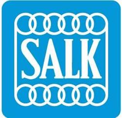 SALK Tennisklubb Stockholm, Bromma öppettider